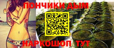 гидропоника Аргун